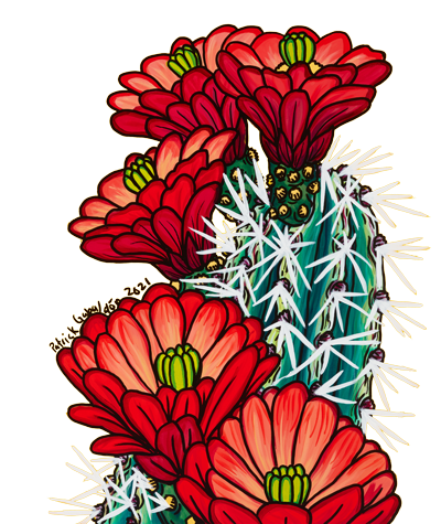 Co-Writer Sponsorship Opportunity