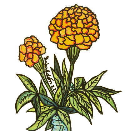 Promoter Sponsorship Opportunity