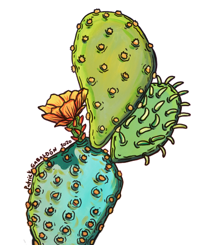 Record Label Sponsorship Oppportunity